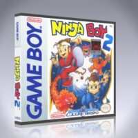 Ninja Boy 2