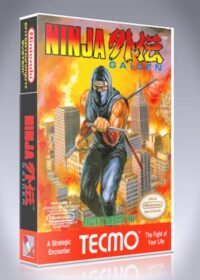 Ninja Gaiden
