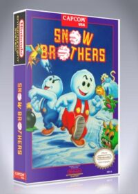 Snow Brothers