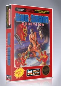 Tag Team Wrestling