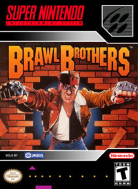 Brawl Brothers