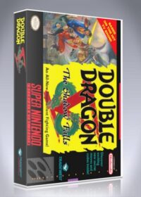 Double Dragon V: The Shadow Falls
