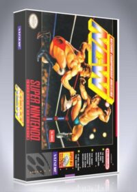 Natsume Championship Wrestling