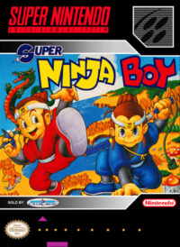 Super Ninja Boy
